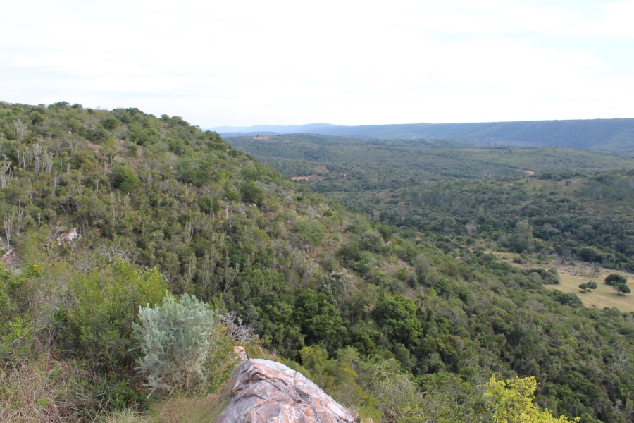 0 Bedroom Property for Sale in Bathurst Eastern Cape